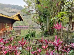 -西双版纳原始森林公园