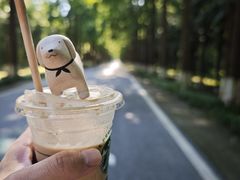 -黄海国家森林公园