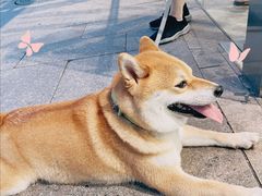 -杭州西湖银泰百货