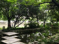 -成都市活水公园