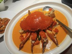 -菉雅苑·湛江菜(前海卓越INTOWN店)