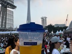 -海心沙亚运公园
