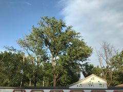 -串来串去(中关村店)