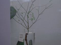 -Manner Coffee(HALO广场店)
