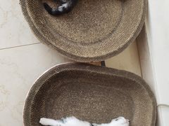 -佑安动物医院·全科·内窥镜中心(幸福巷店)