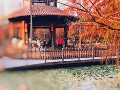 -五缘湾湿地公园