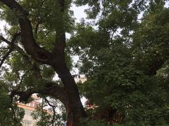 -洛阳周公庙博物馆