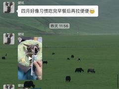 -佳佳动物医院