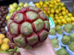 -大观篆新农贸市场