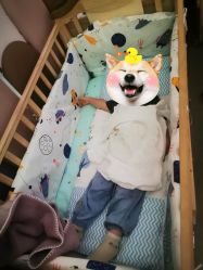 点击看大图 -MELAND CLUB亲子乐园·派对(浦东LCM置汇旭辉馆)