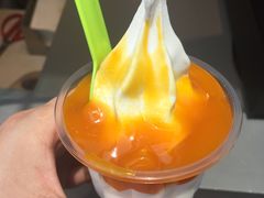 -麦丽丝红油辣椒冰淇淋(江家巷店)