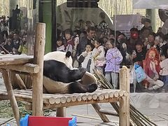 -栾川竹海野生动物园