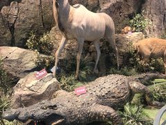 -陕西自然博物馆