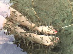 -苏州湾王焰温泉度假酒店