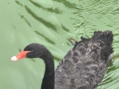 -重庆动物园·东二门售票处