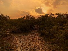-北海金海湾红树林生态旅游区