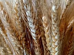 -宜昌富力皇冠假日酒店·咖啡1号西餐厅