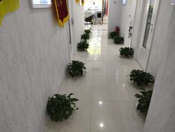 -痘庄科学祛痘国际连锁