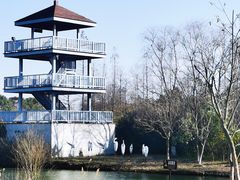 -苏州太湖国家湿地公园