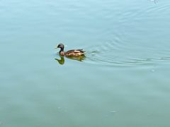 -前关湿地公园