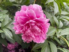 -长春公园(普阳街道)