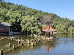 -北岭山森林公园
