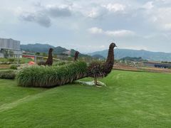 -光明小镇欢乐田园