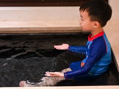 -西安华清御汤酒店