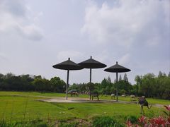 -宁波野生动物园