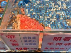 -广东道至正餐厅(区庄店)