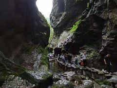 -牛背梁国家森林公园