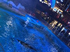 -海合安青岛极地海洋公园