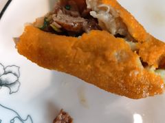 -丁老爷子苏香圆