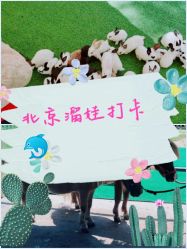 -萌宠亲子动物乐园(槐房万达店)