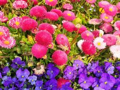 -木塔寺遗址生态公园