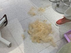 -FAELING PETS美天灵宠物(富力广场店)