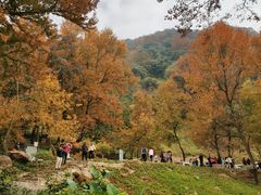 -广州市石门国家森林公园