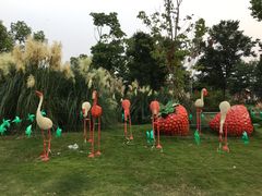 -菊园百果园