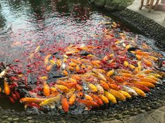 -成飞公园