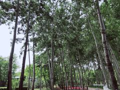 -仁和公园(顺义区)