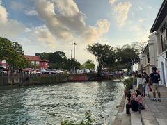 -马六甲鸡场街