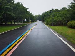 -同里国家湿地公园