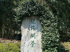 -十八棵（老龙井）御茶园(老龙井店)