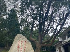 -敬亭山风景名胜区