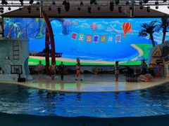 -三亚海昌梦幻海洋不夜城