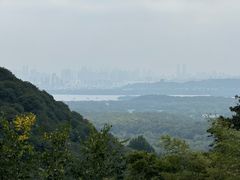 -韬光茶庵