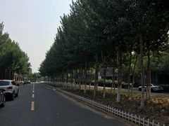 -天津现代职业技术学院