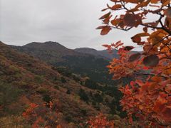 -香山公园