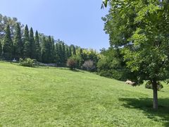 -棒棰岛宾馆景区