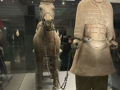 -秦始皇帝陵博物院-丽山园